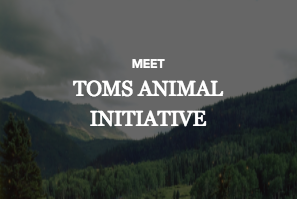 TOMS Animal Initiative