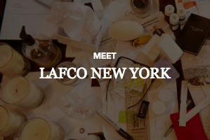 LAFCO New York