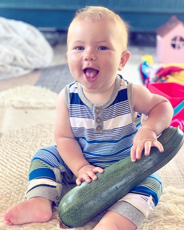 Baby Wilde helped me with the garden this morning. Look at the massive zucchini we produced 😲 going straight to our meals tomorrow for delivery. Doesn&rsquo;t get more fame to table than that! #chefmonicacastillo #organicgarden #organiczucchini #org