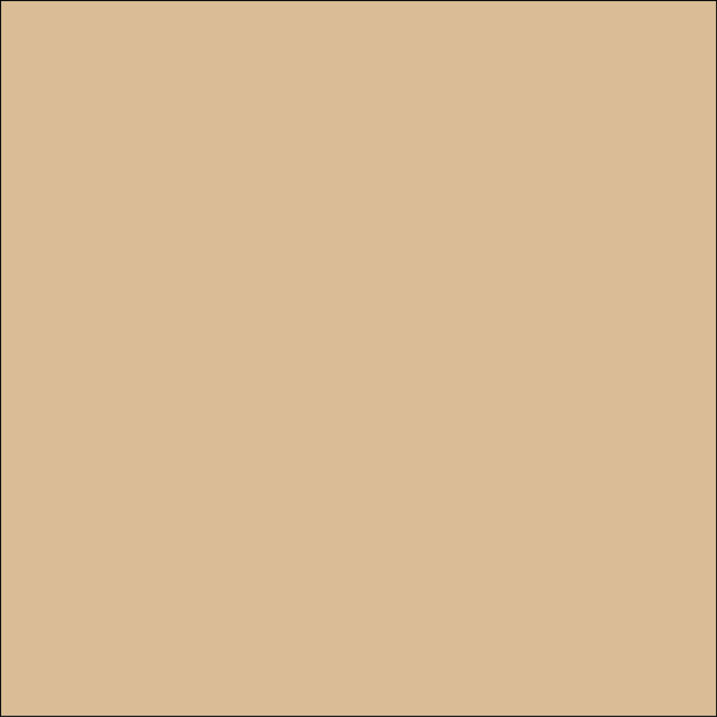 Mudstone