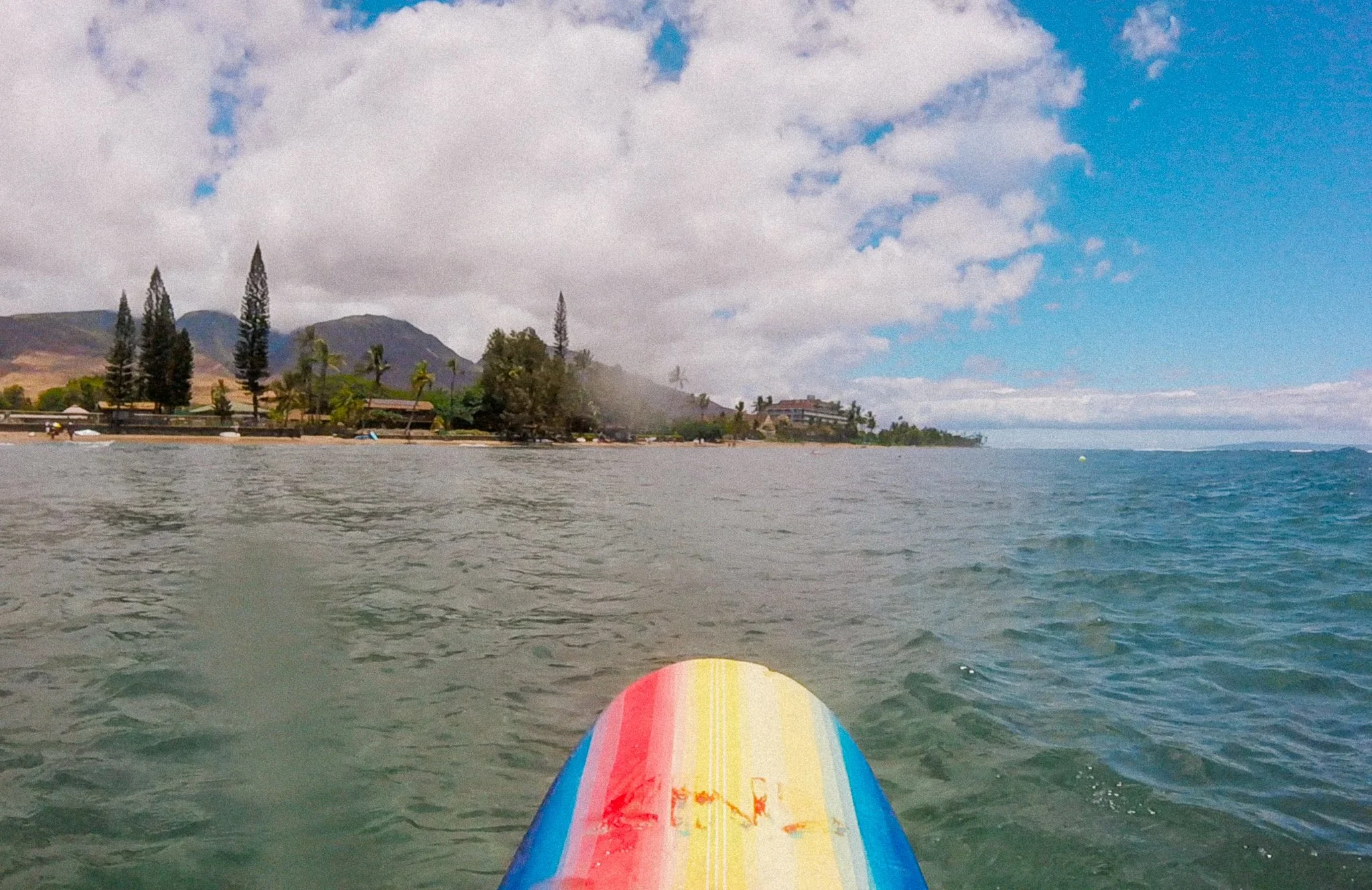 Screen Shot 2021-08-15 at 5.05.19 PM.jpg