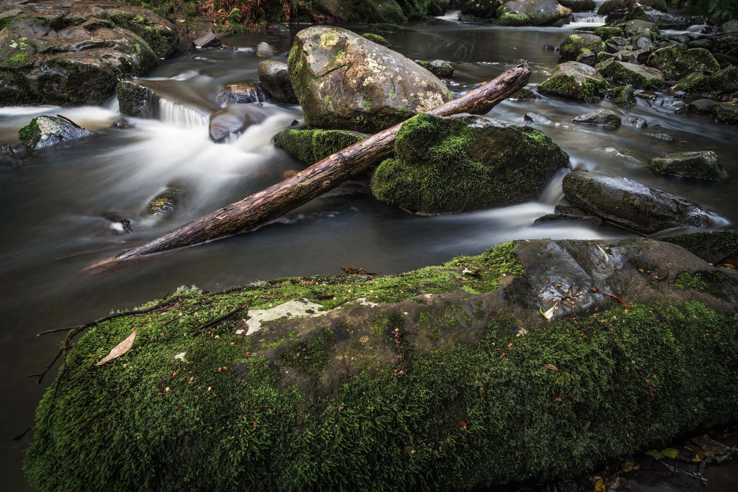 LANDSCAPE_WEBSITE_MAY2016-5.jpg