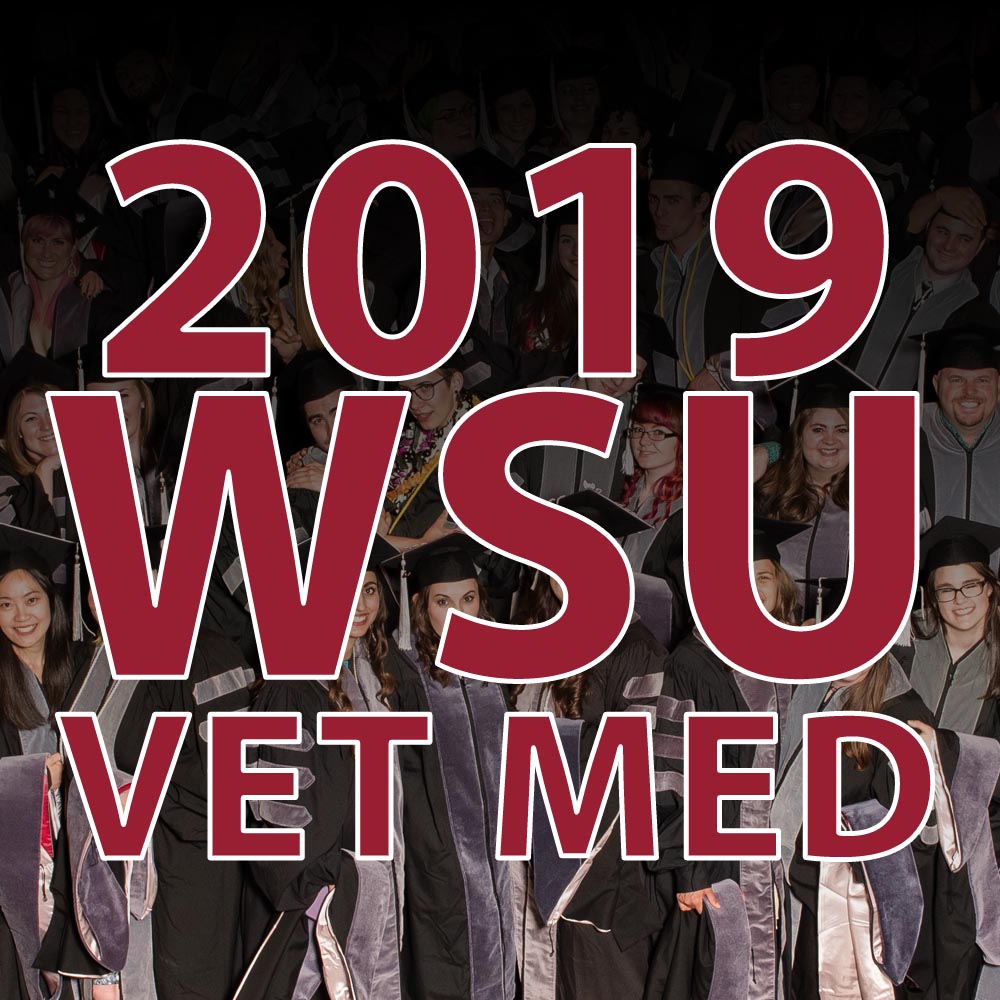 WSUVETMED.jpg