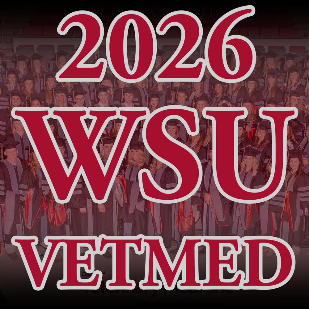 2026-SQSP-VM.png