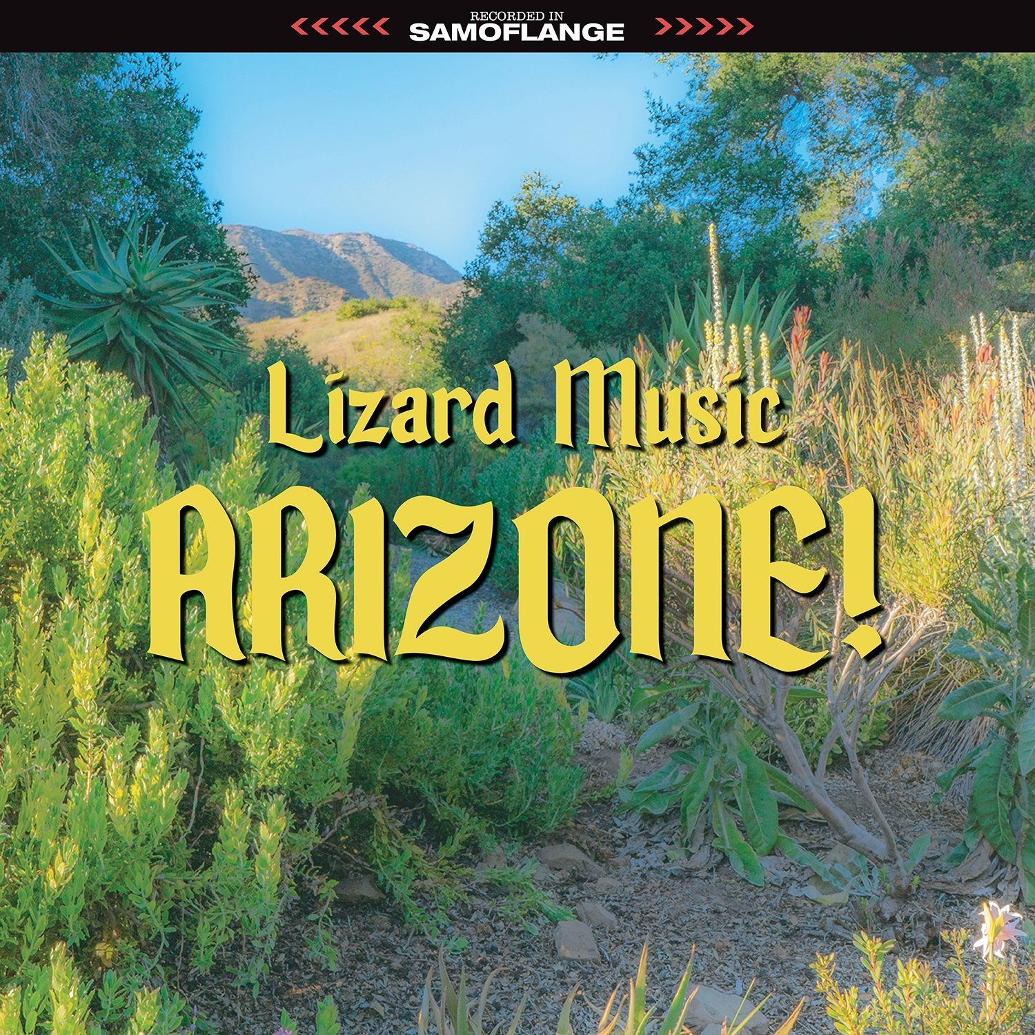 Lizard Music "ARIZONE!" 2021