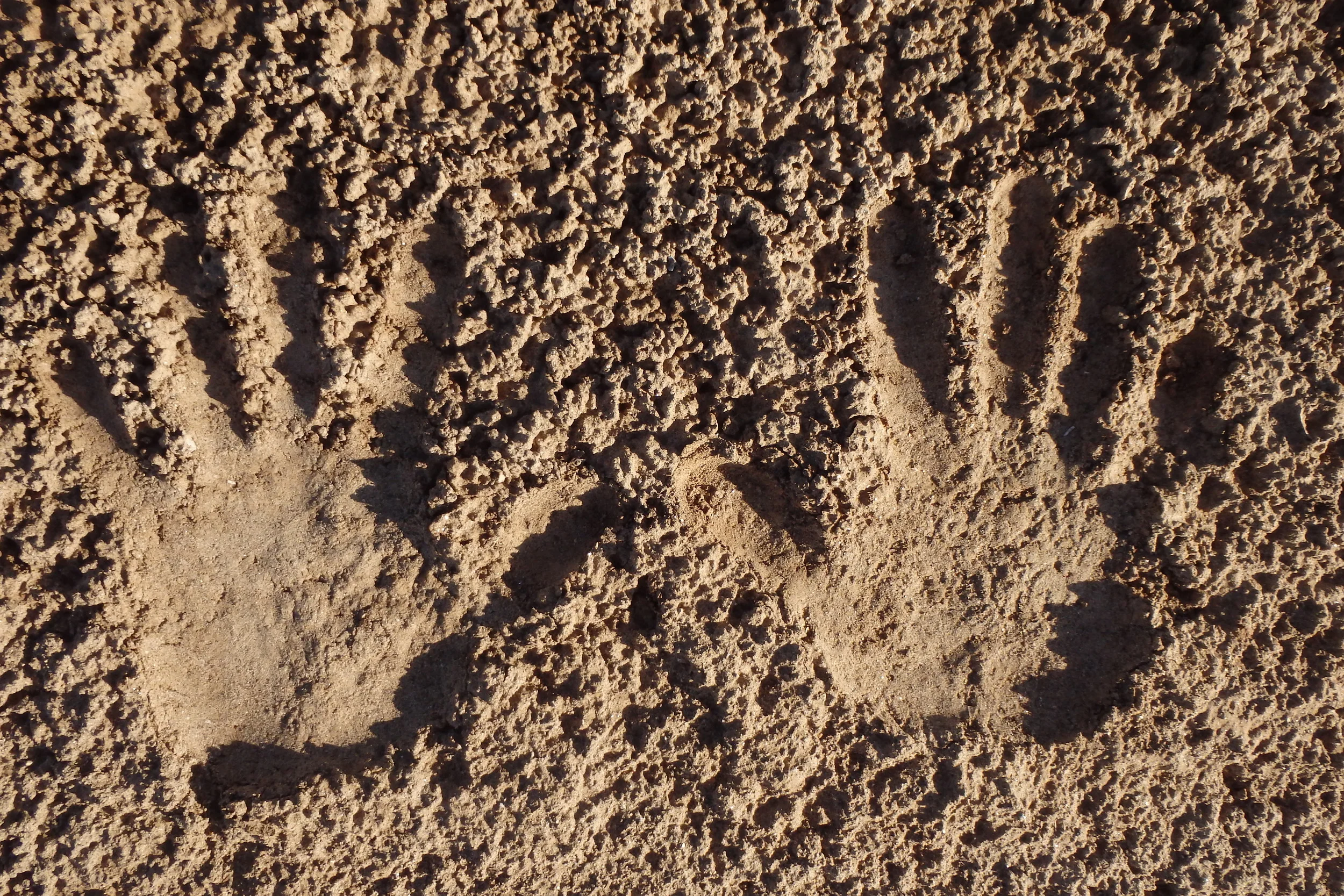 Handprints