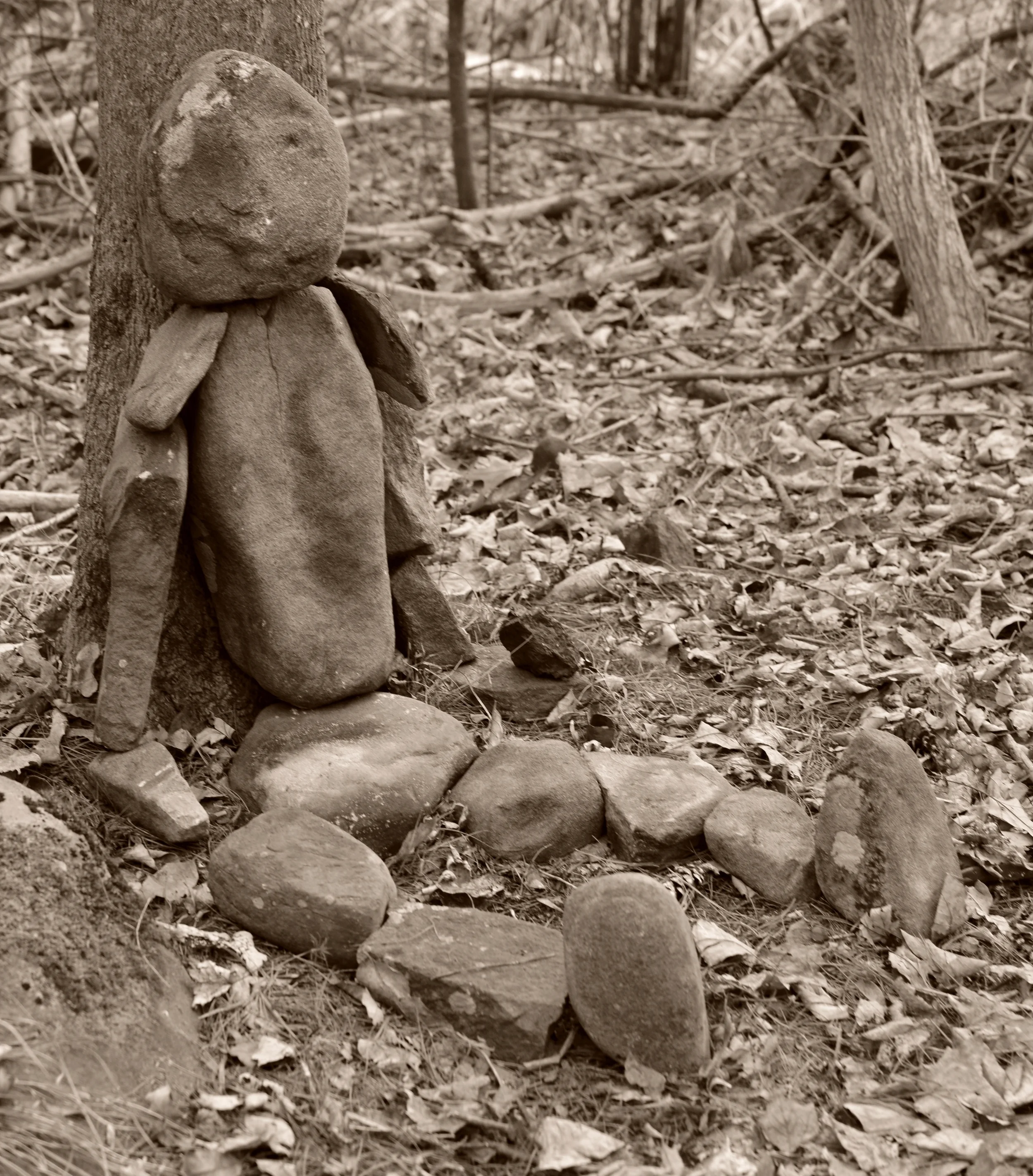 Contemplation