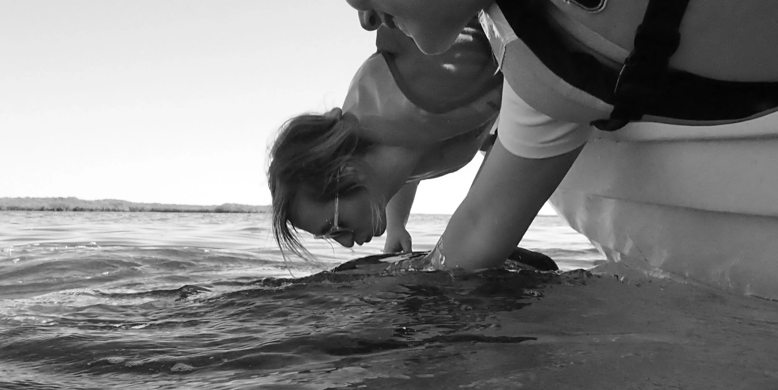 How Molly Wolf Kisses a Whale