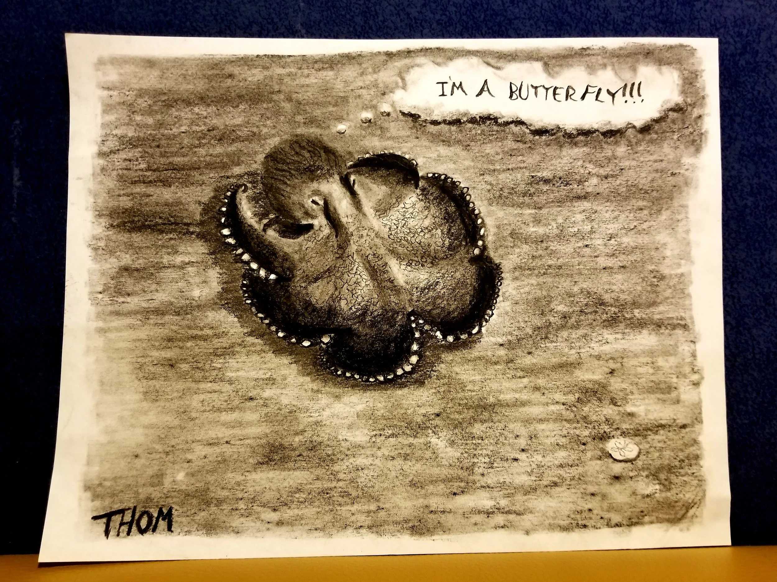 "Octopus"