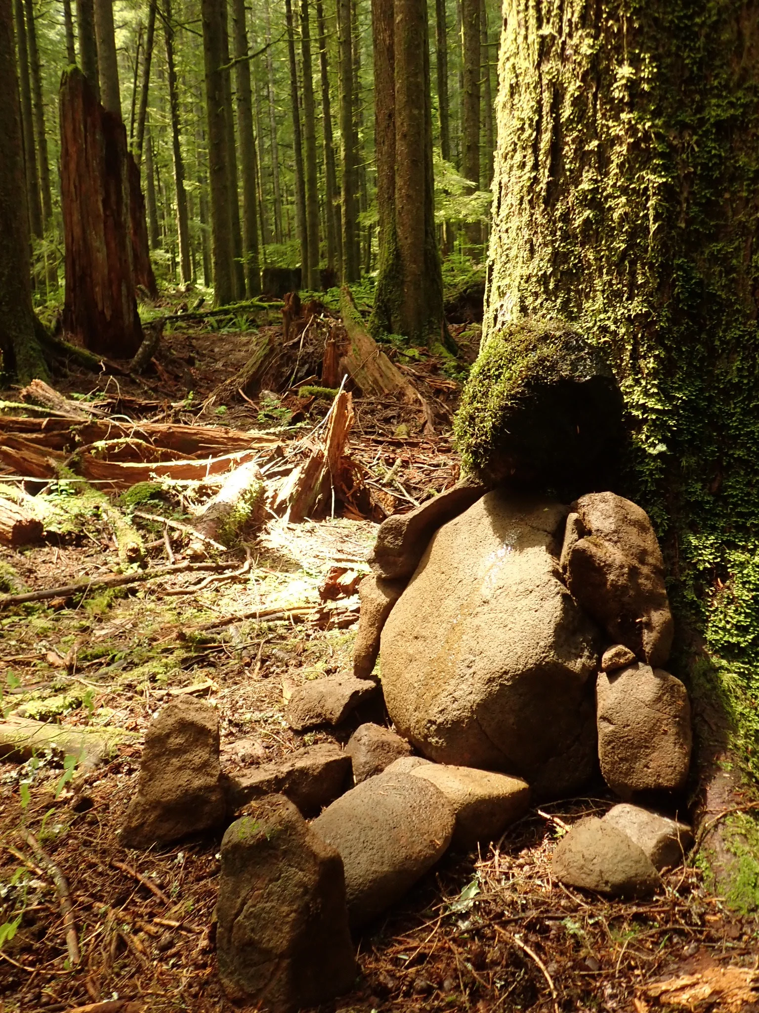 Sitting Moss Man in Forest