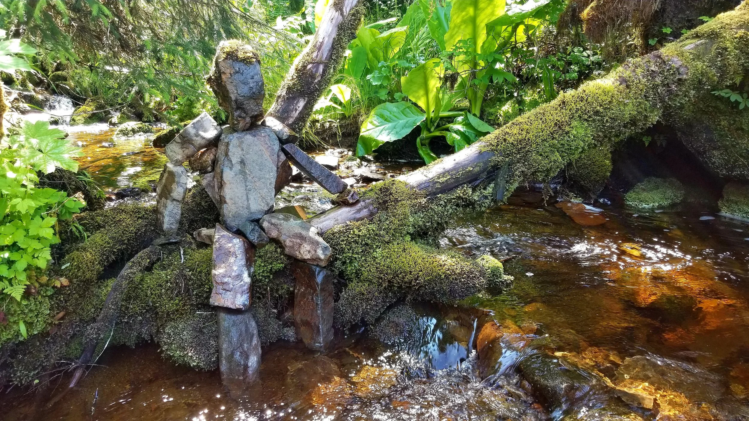Moss Man of Petersburg