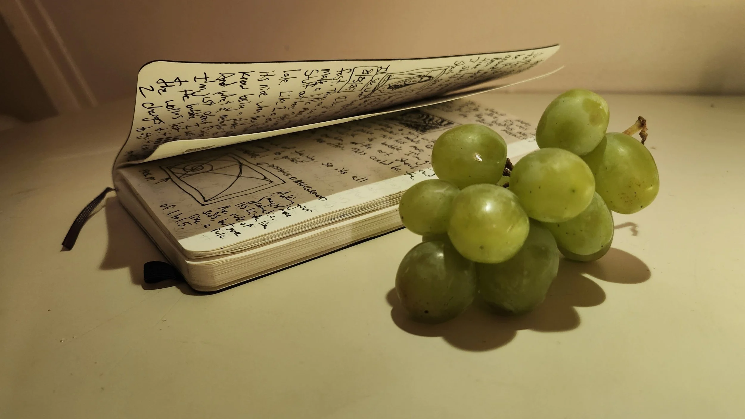 Grapes and Journal