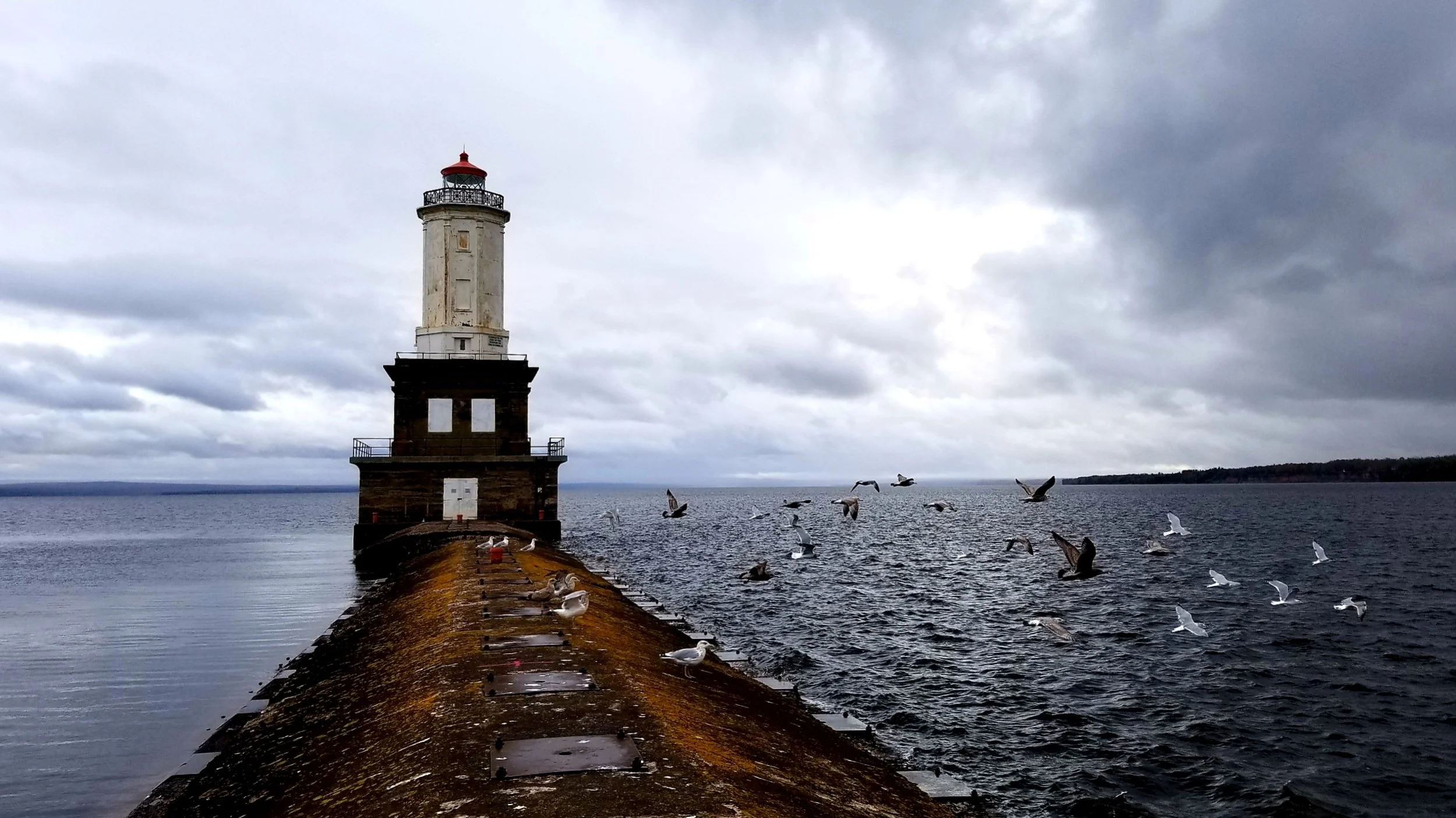 Gulls and Lighthouse