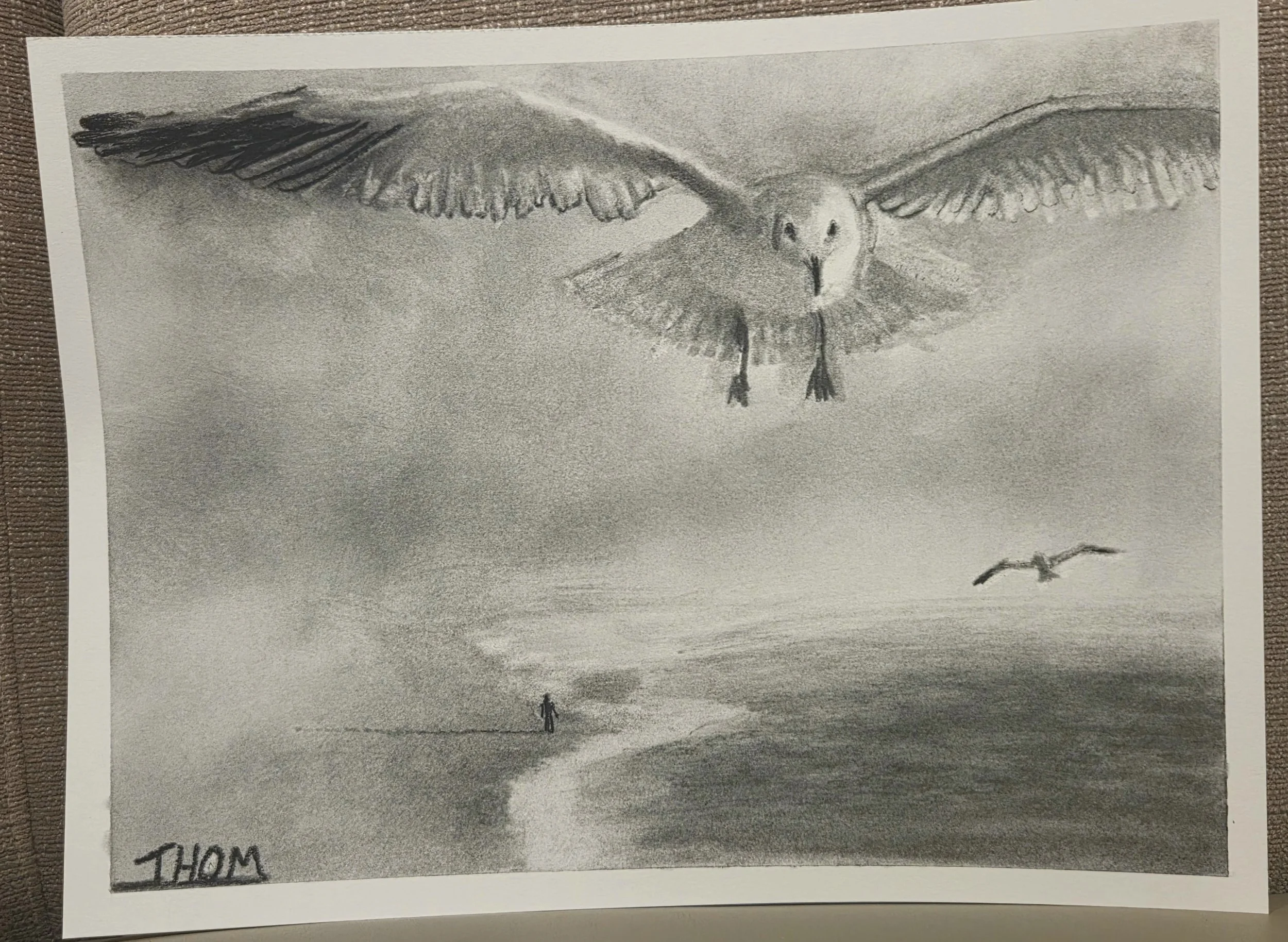 "Gulls"