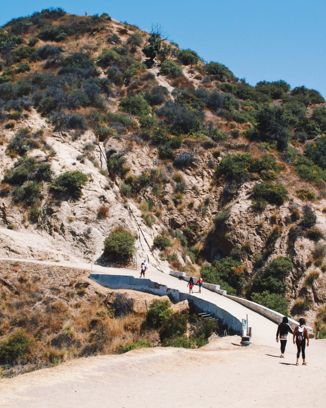 our teams perfect saturday 4.png