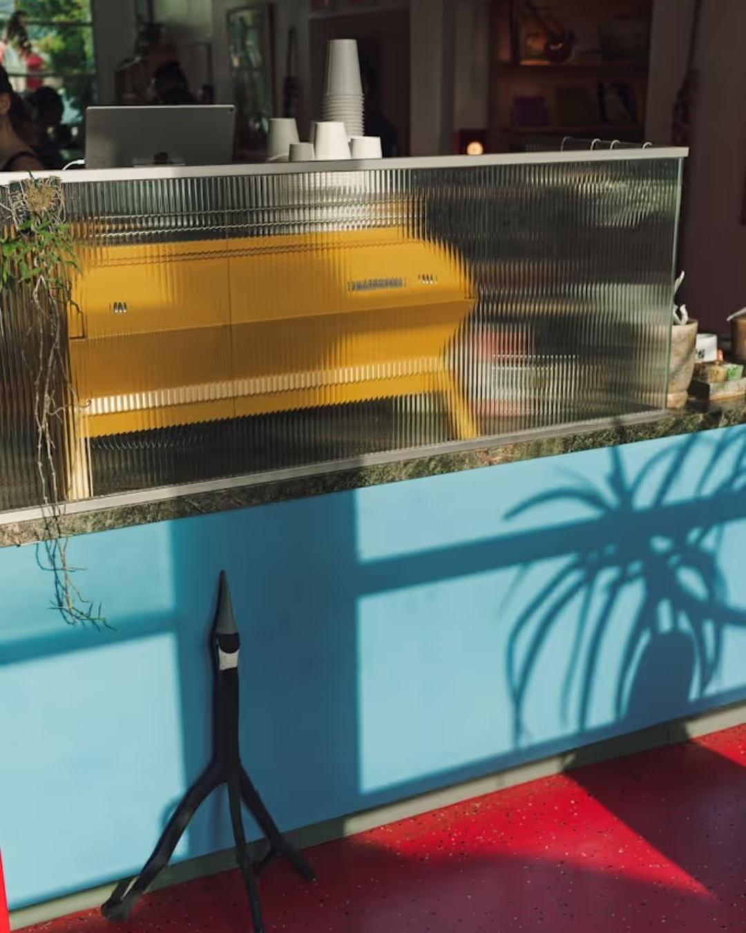 our teams perfect saturday 11.png