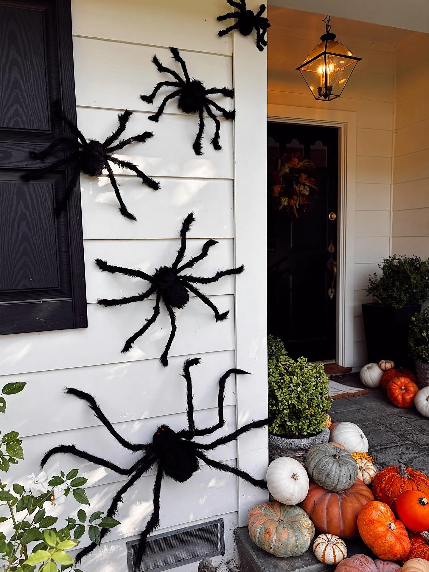 Spooky Season done right 🎃🍁. We recently decked out one of our favorite houses with some cute (and slightly creepy 🕷️) decorations! Heirloom pumpkins from @theoriginallaflowermarket and @traderjoes, spiders from @michaelsstores and @amazon.

But j