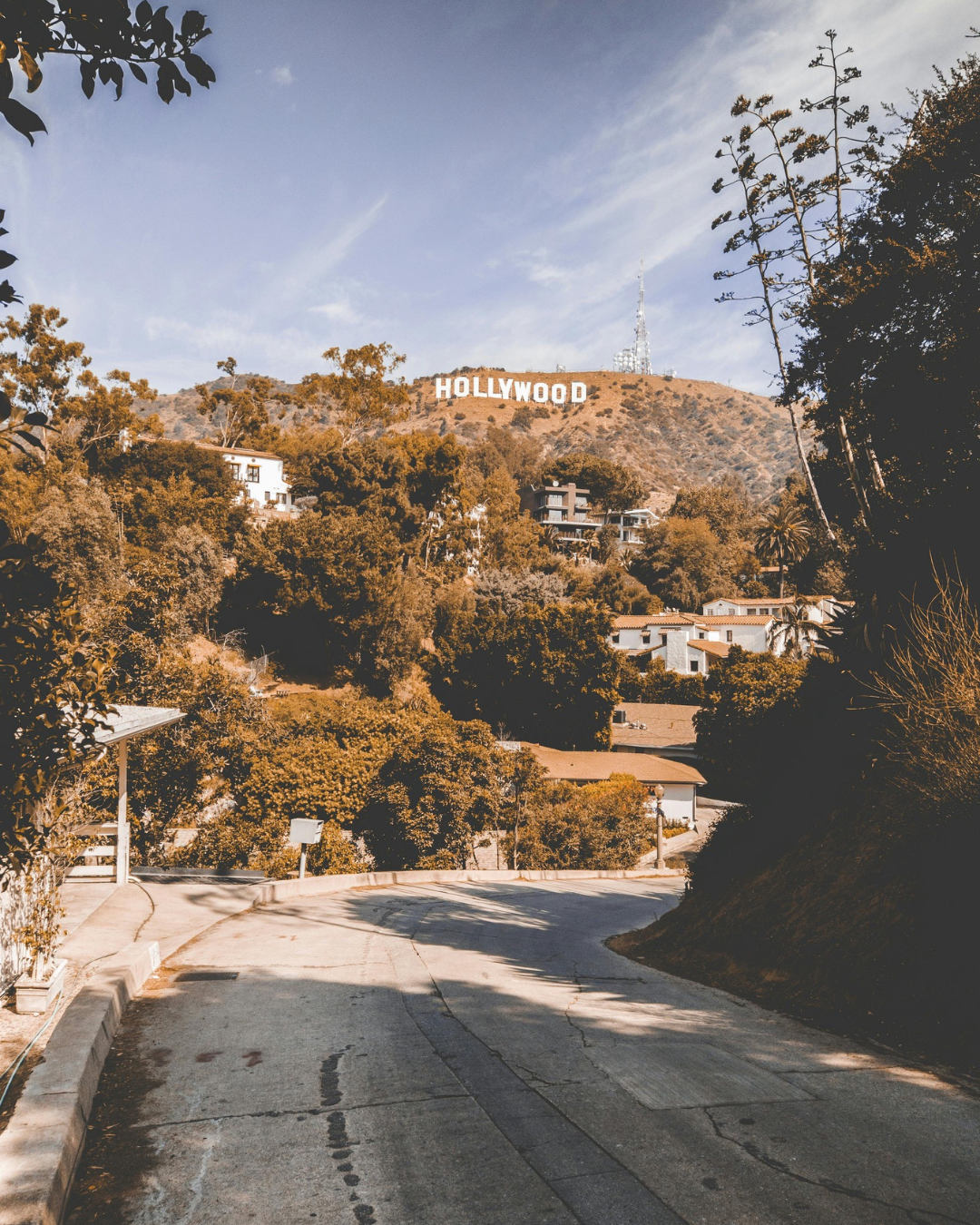 Our Team's Perfect Saturday in LA