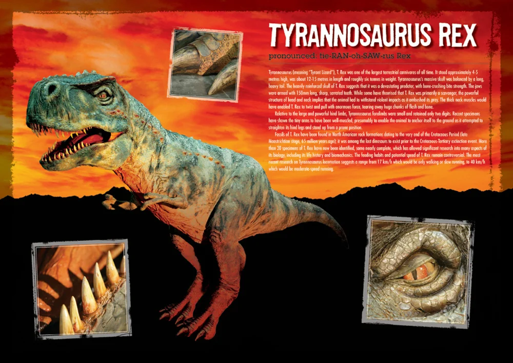 006 GAZi photography bbc walking with dinosaurs.jpg