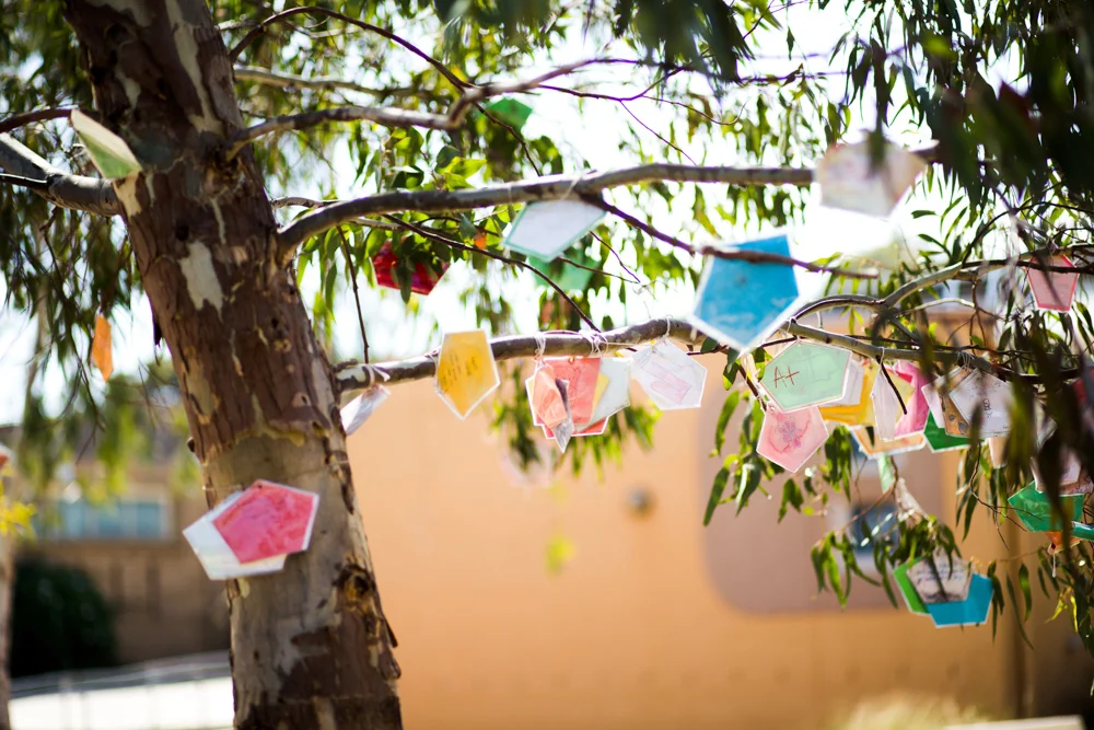 004 @GAZiPHOTO education Buckley Park.jpg