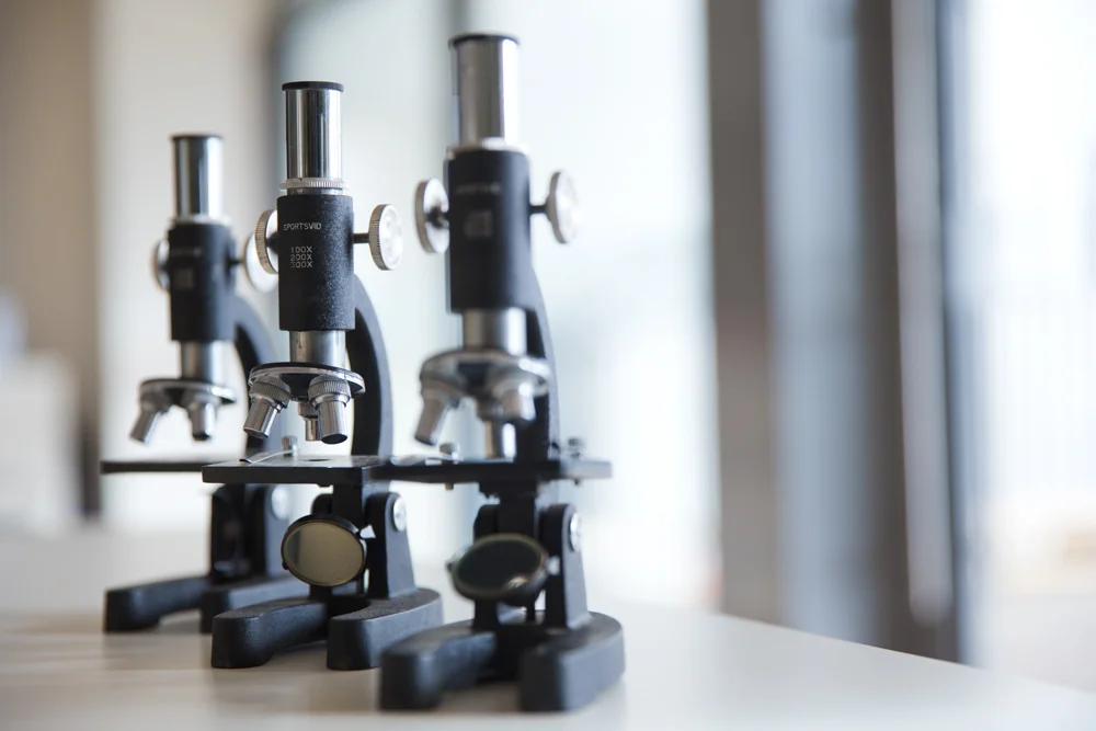 001 GAZi  photography education Melbourne girls grammar.jpg