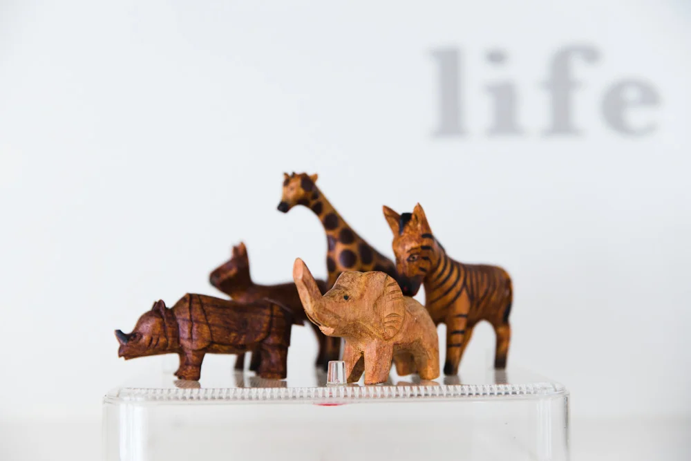 002 GAZi  photography education Melbourne girls grammar.jpg