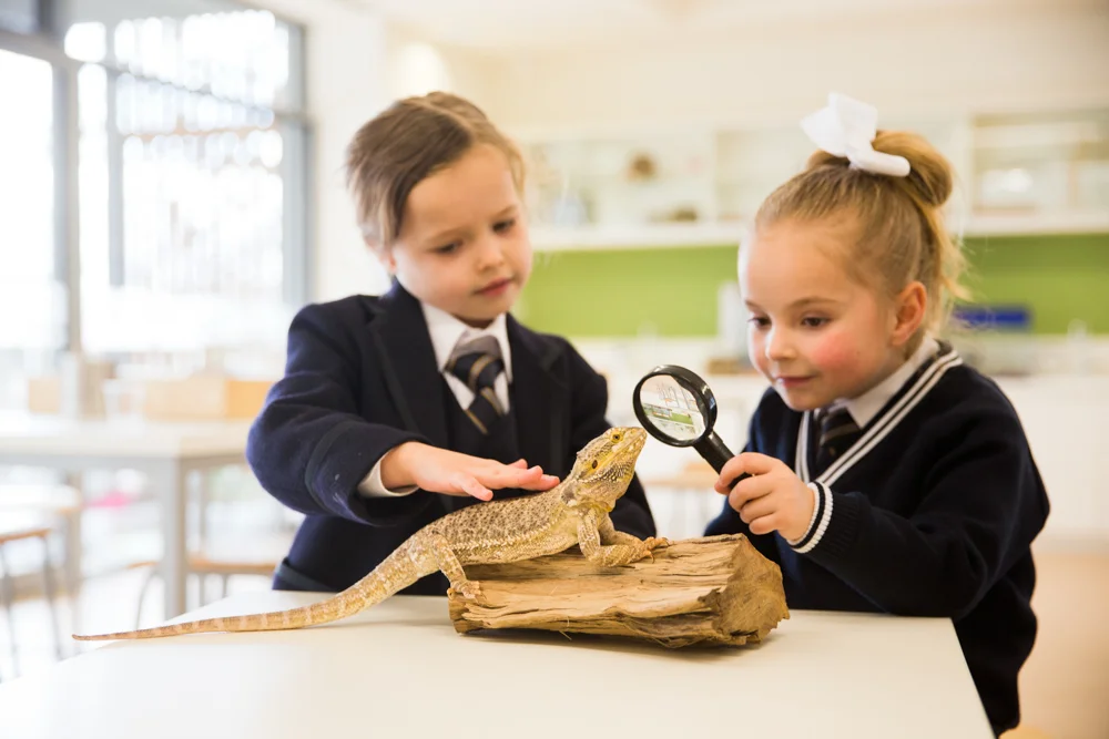 009 GAZi  photography education Melbourne girls grammar.jpg