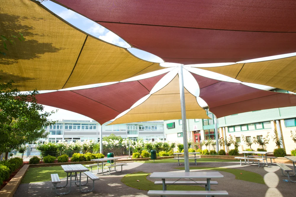 018 @GAZiPHOTO Education Sirius College.jpg