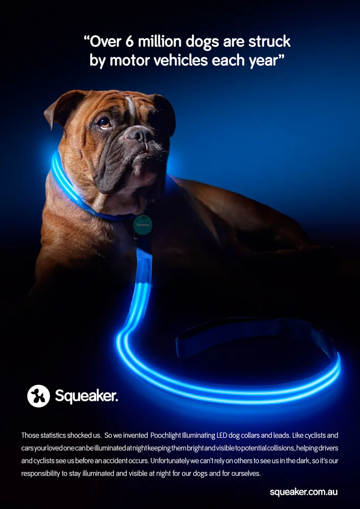 001- GAZi Photography Squeaker Press Release.jpg