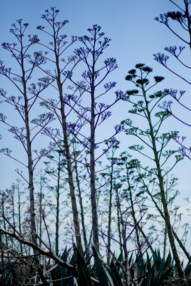 023 GAZi photography Meric Cyprus Travel Colour.jpg