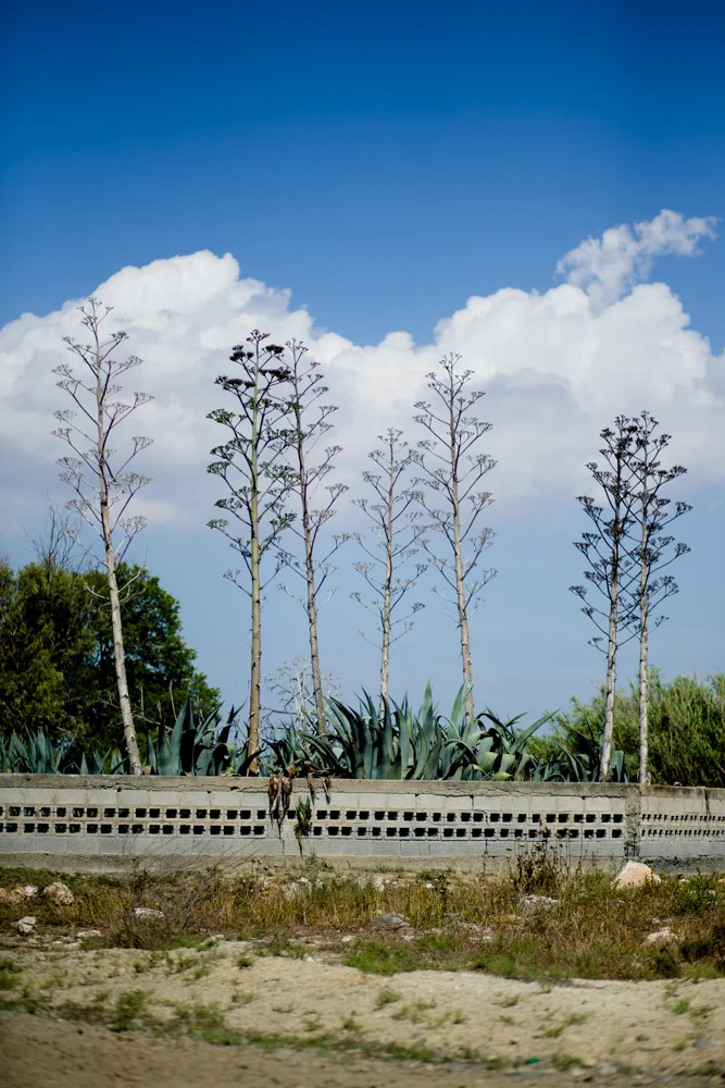 022 GAZi photography Meric Cyprus Travel Colour.jpg