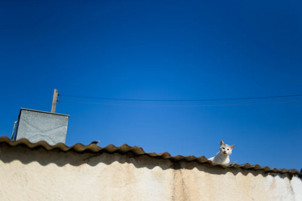 059 GAZi photography Meric Cyprus Travel Colour.jpg