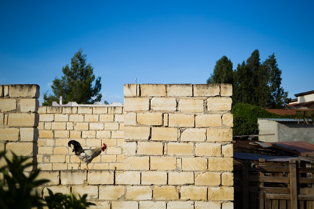 072 GAZi photography Meric Cyprus Travel Colour.jpg