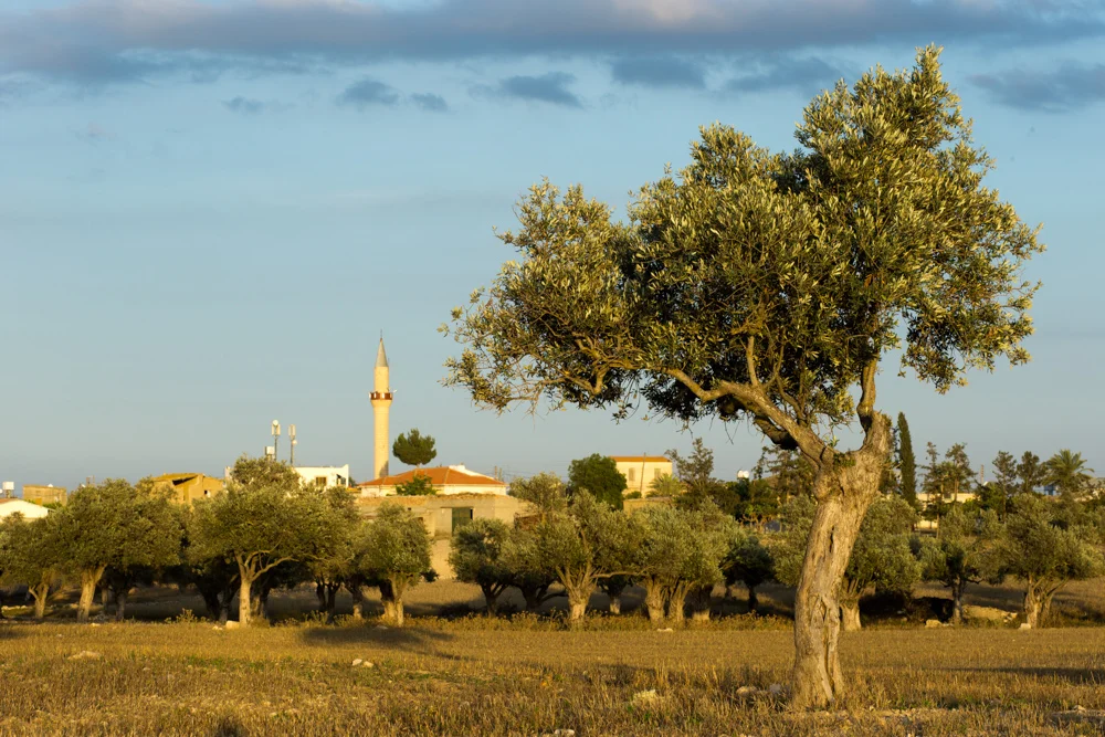 073 GAZi photography Meric Cyprus Travel Colour.jpg