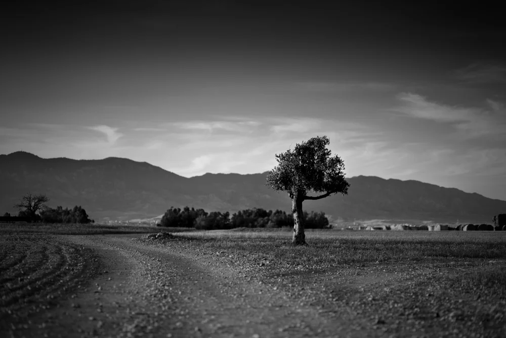 001 GAZi photography Meric Cyprus Travel.jpg