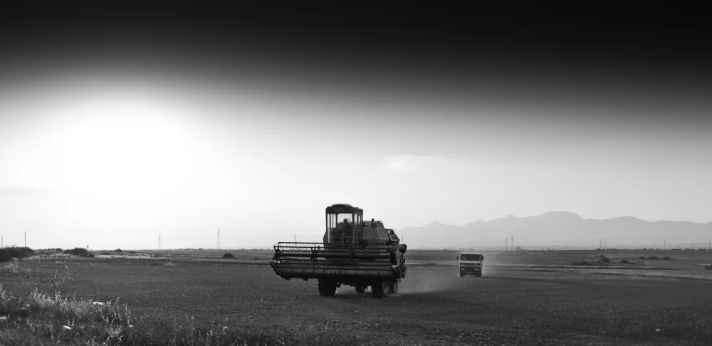 008 GAZi photography Meric Cyprus Travel.jpg