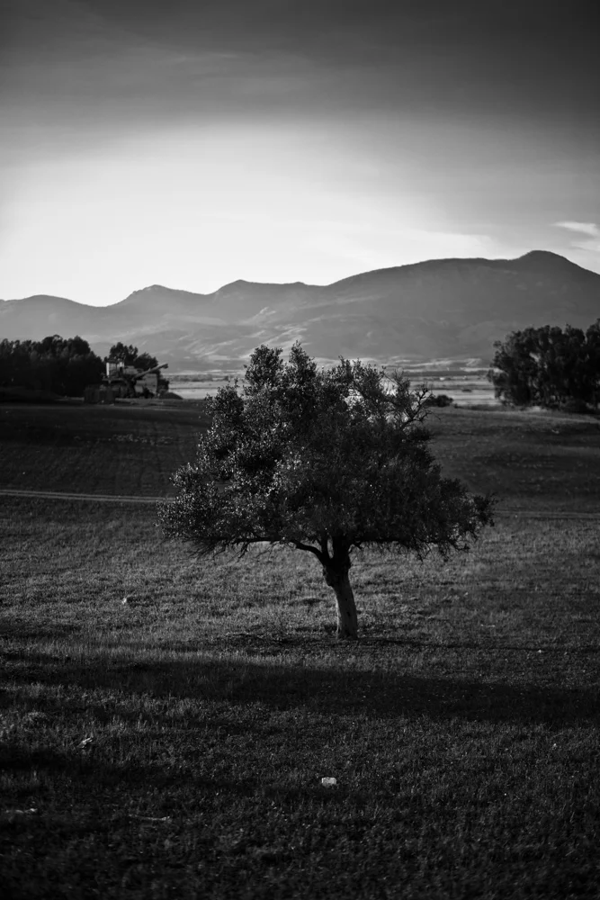 012 GAZi photography Meric Cyprus Travel.jpg