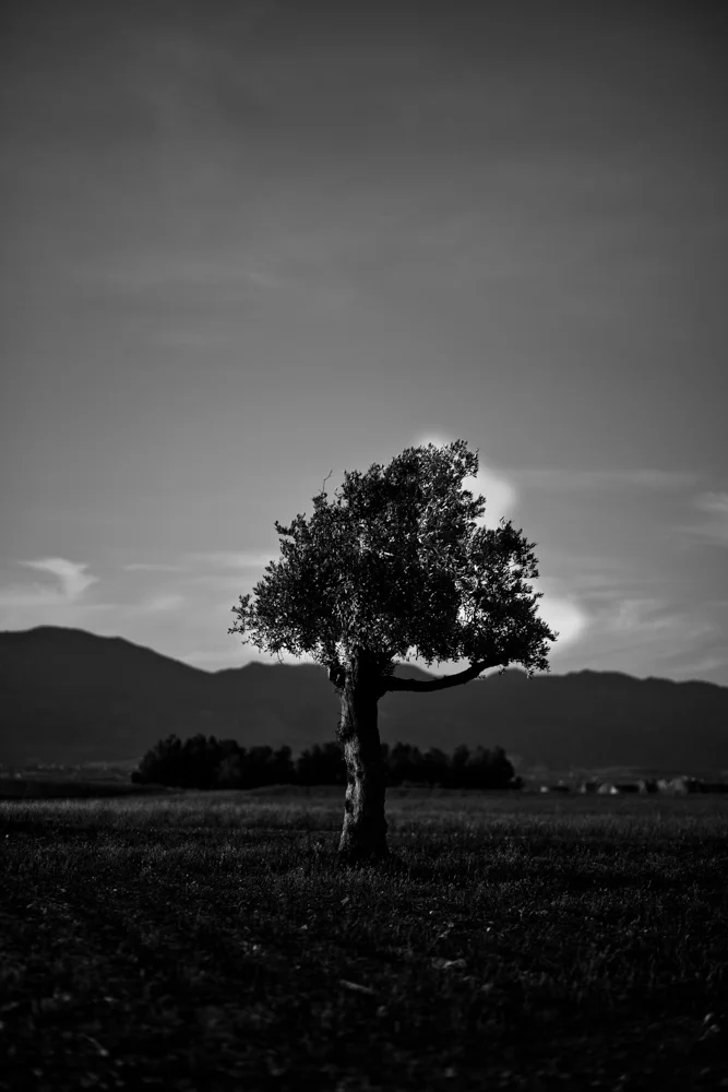 013 GAZi photography Meric Cyprus Travel.jpg