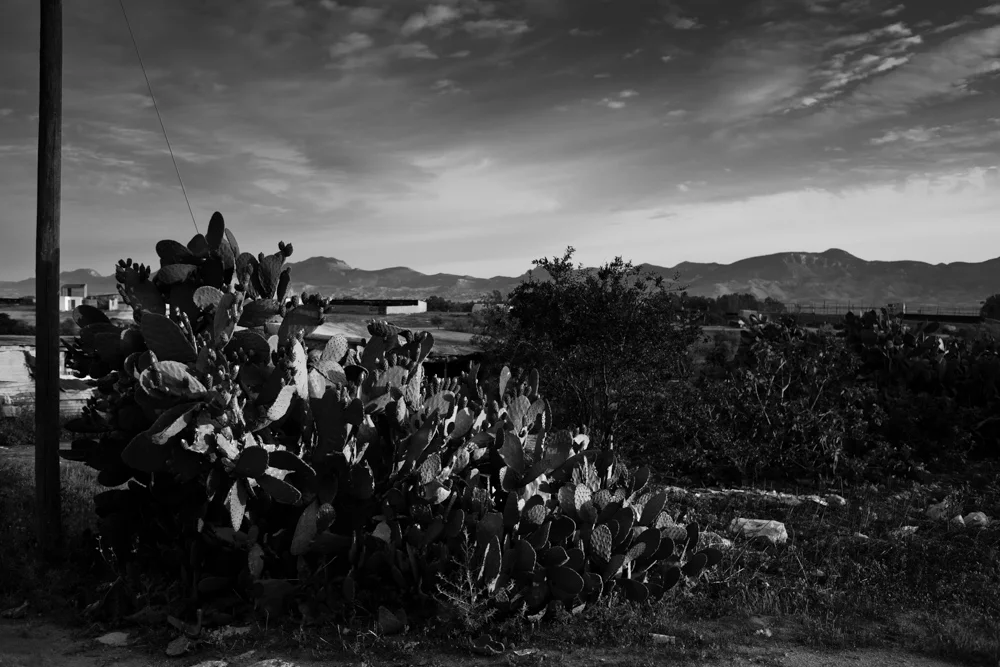 017 GAZi photography Meric Cyprus Travel.jpg