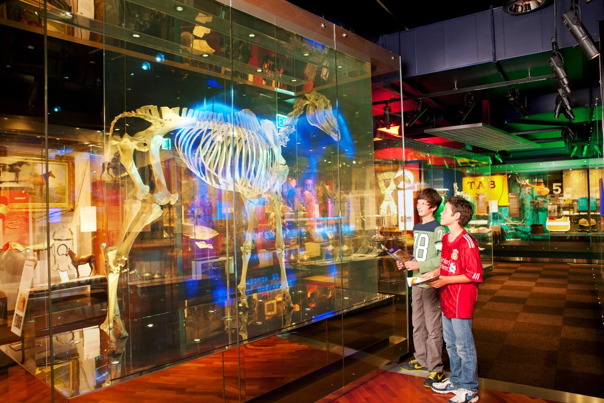 009 GAZi photography MCG SPorts museum.jpg