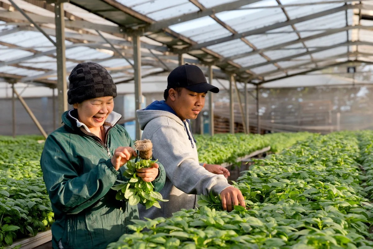  GAZi PHOTOGRAPHYCOLESWELLCOM INTERNATIONAL 