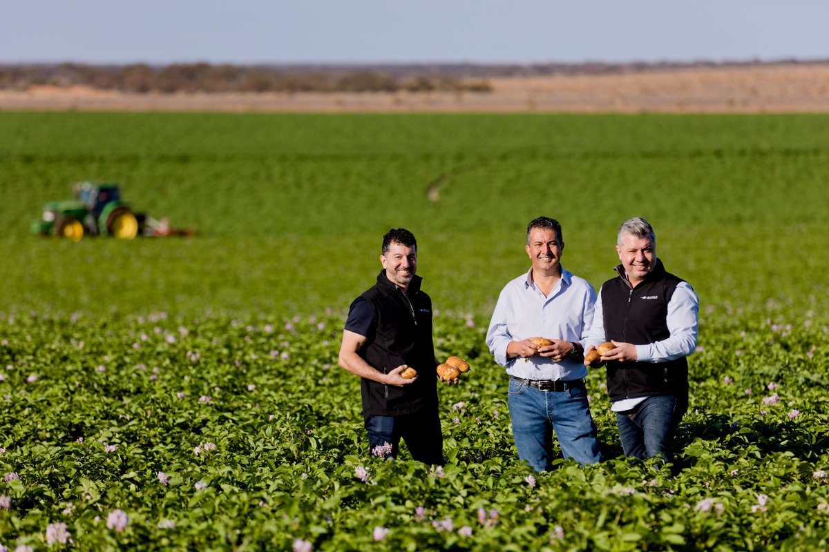  GAZi PHOTOGRAPHYCOLESWELLCOM INTERNATIONAL 