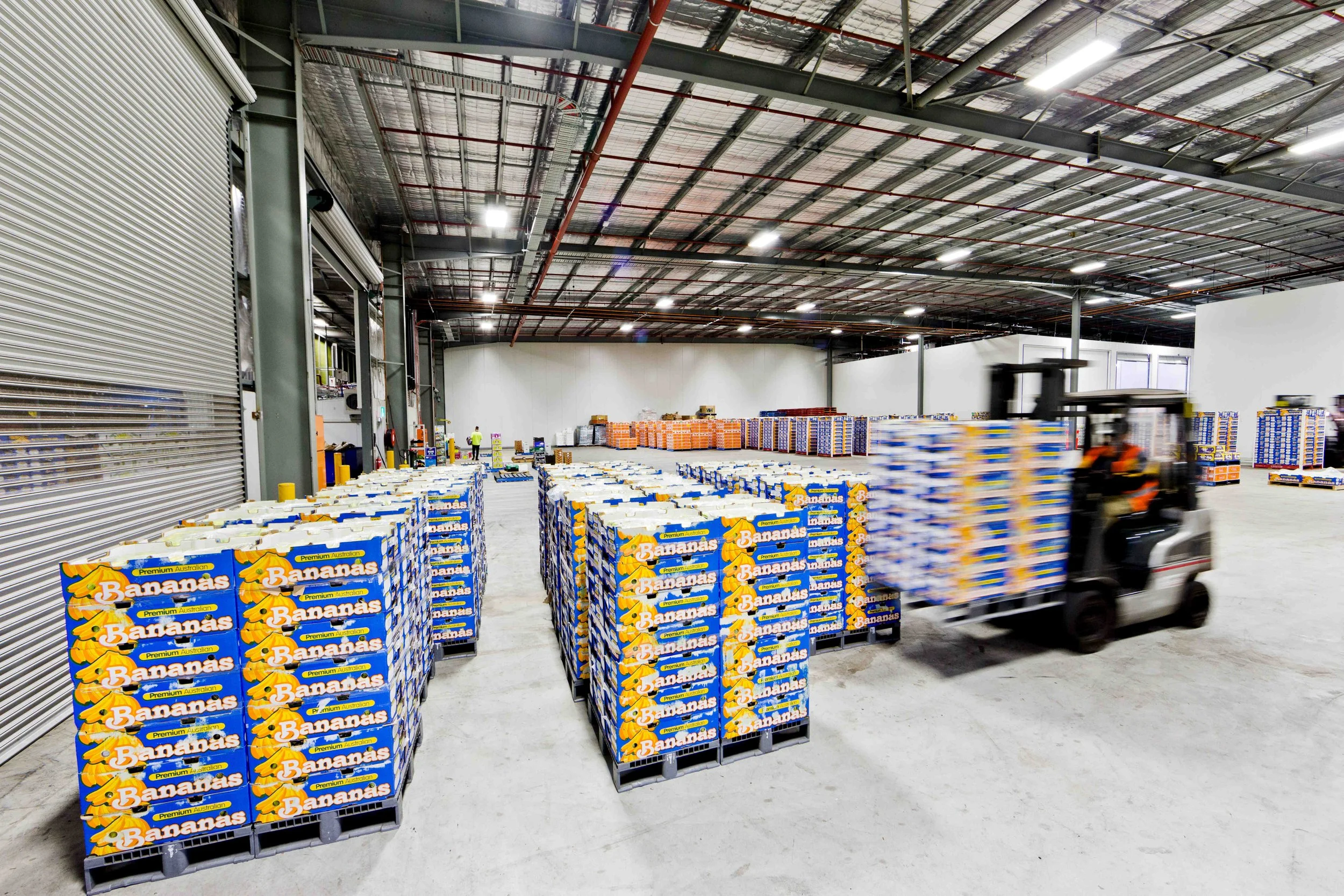  GAZi PHOTOGRAPHYNUTRANO RIFLE MEDIA 