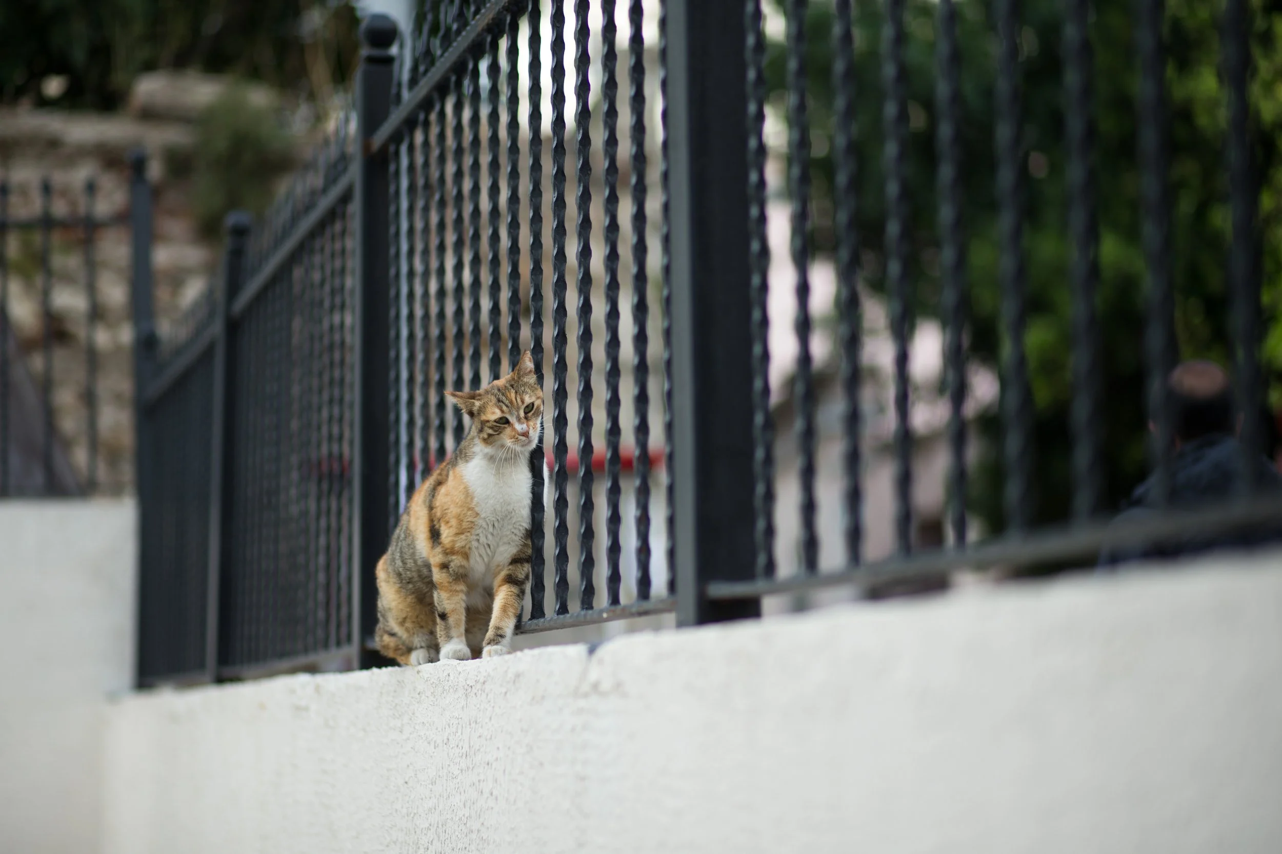 025425 @GAZiPHOTO.jpg