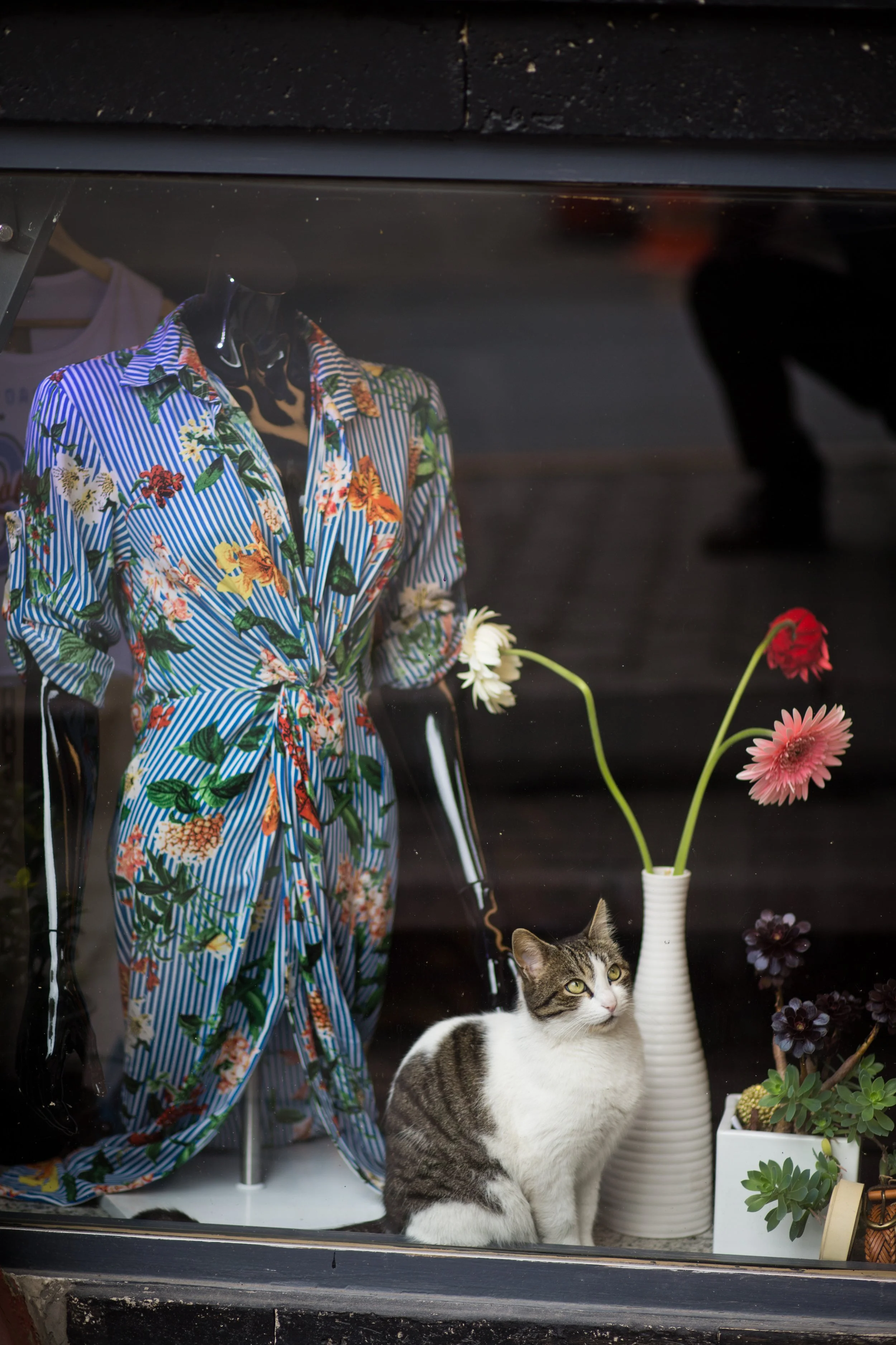025801 @GAZiPHOTO.jpg