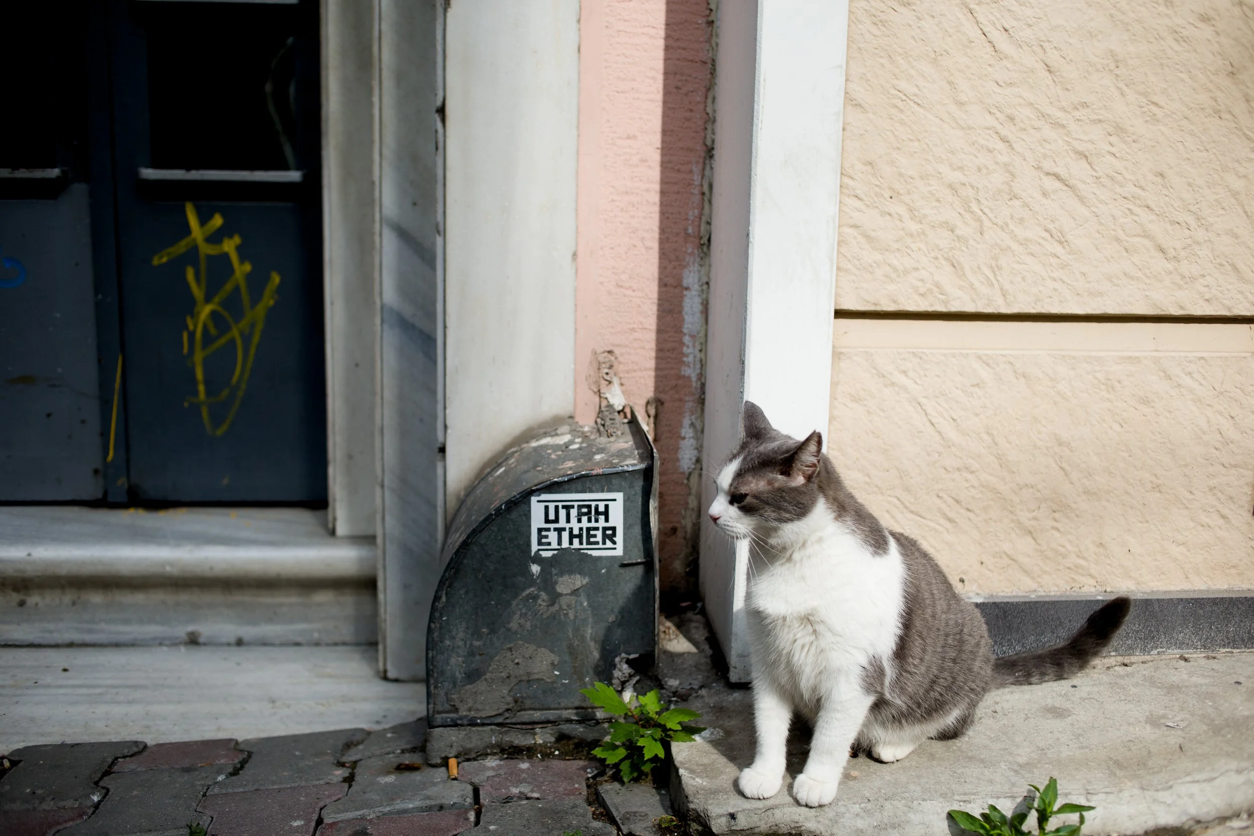 025021 @GAZiPHOTO.jpg