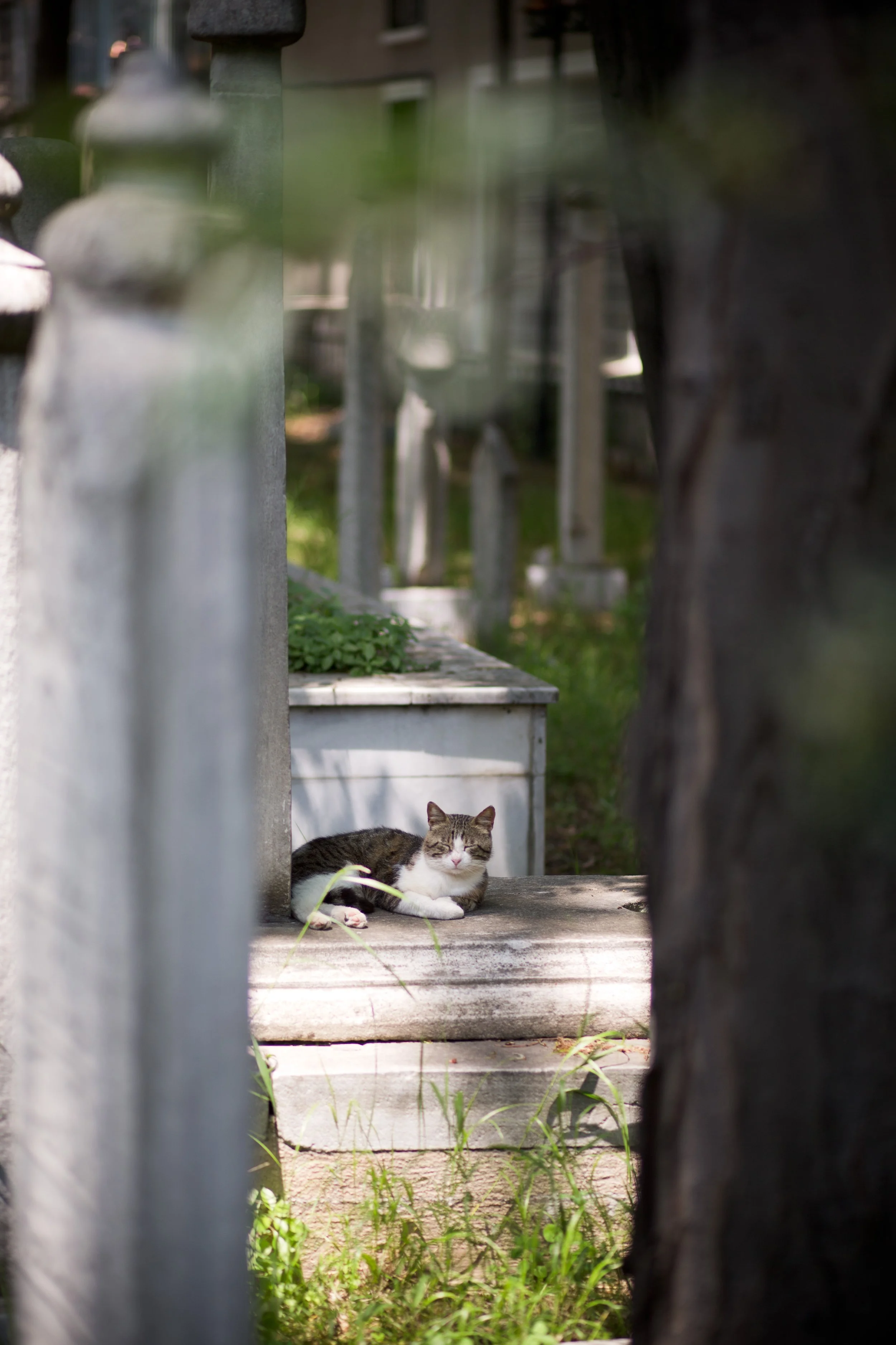 025204 @GAZiPHOTO.jpg