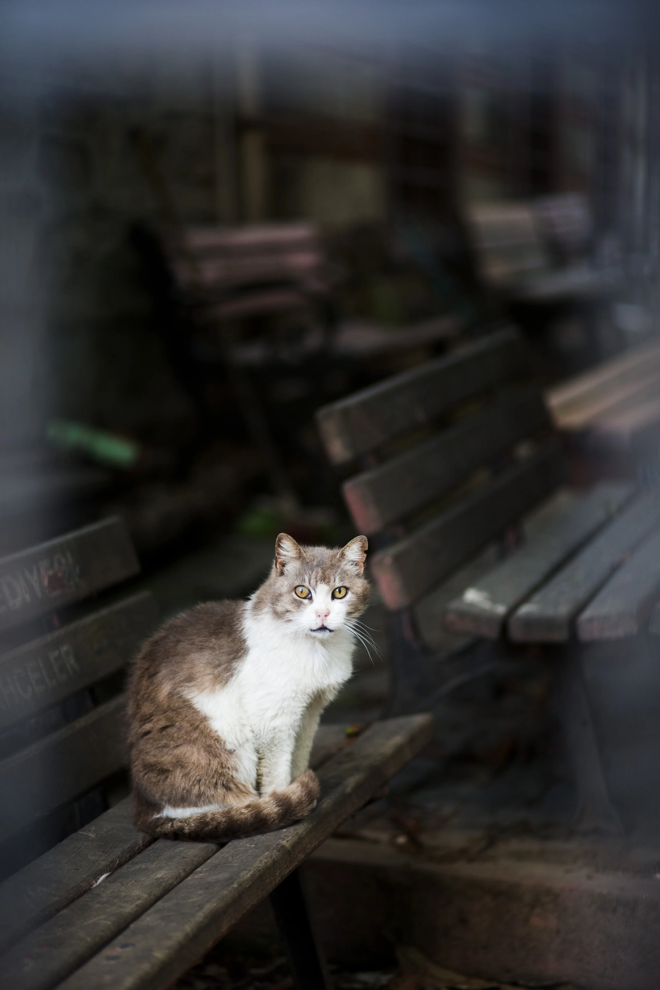 026453 @GAZiPHOTO.jpg