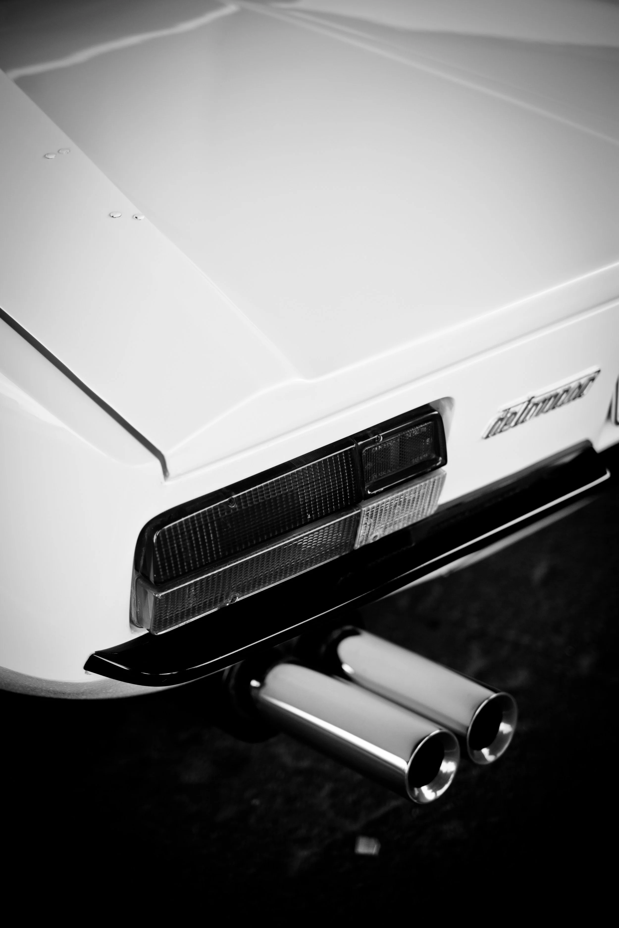 DSCF8193.jpg