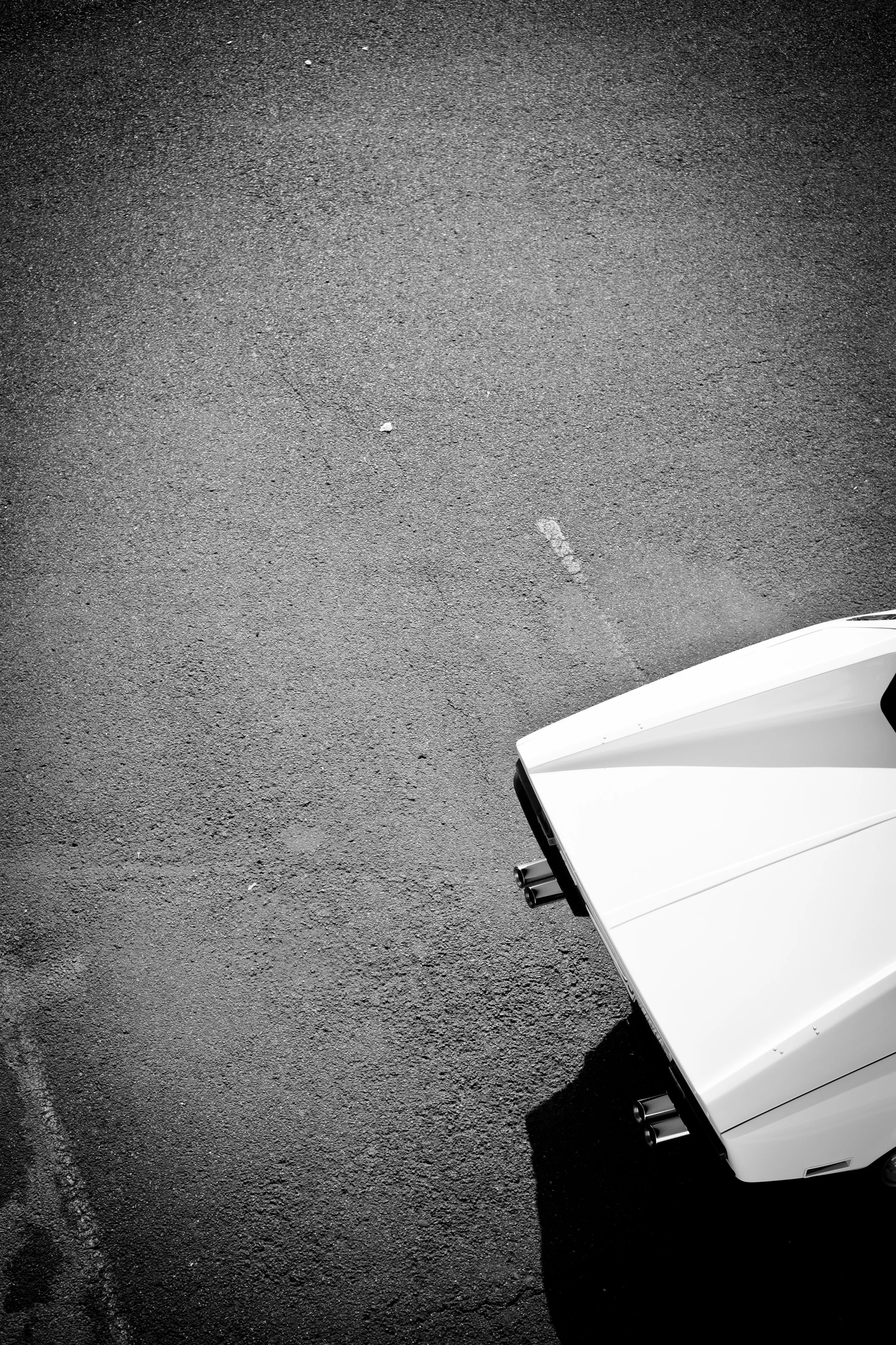 DSCF8239.jpg